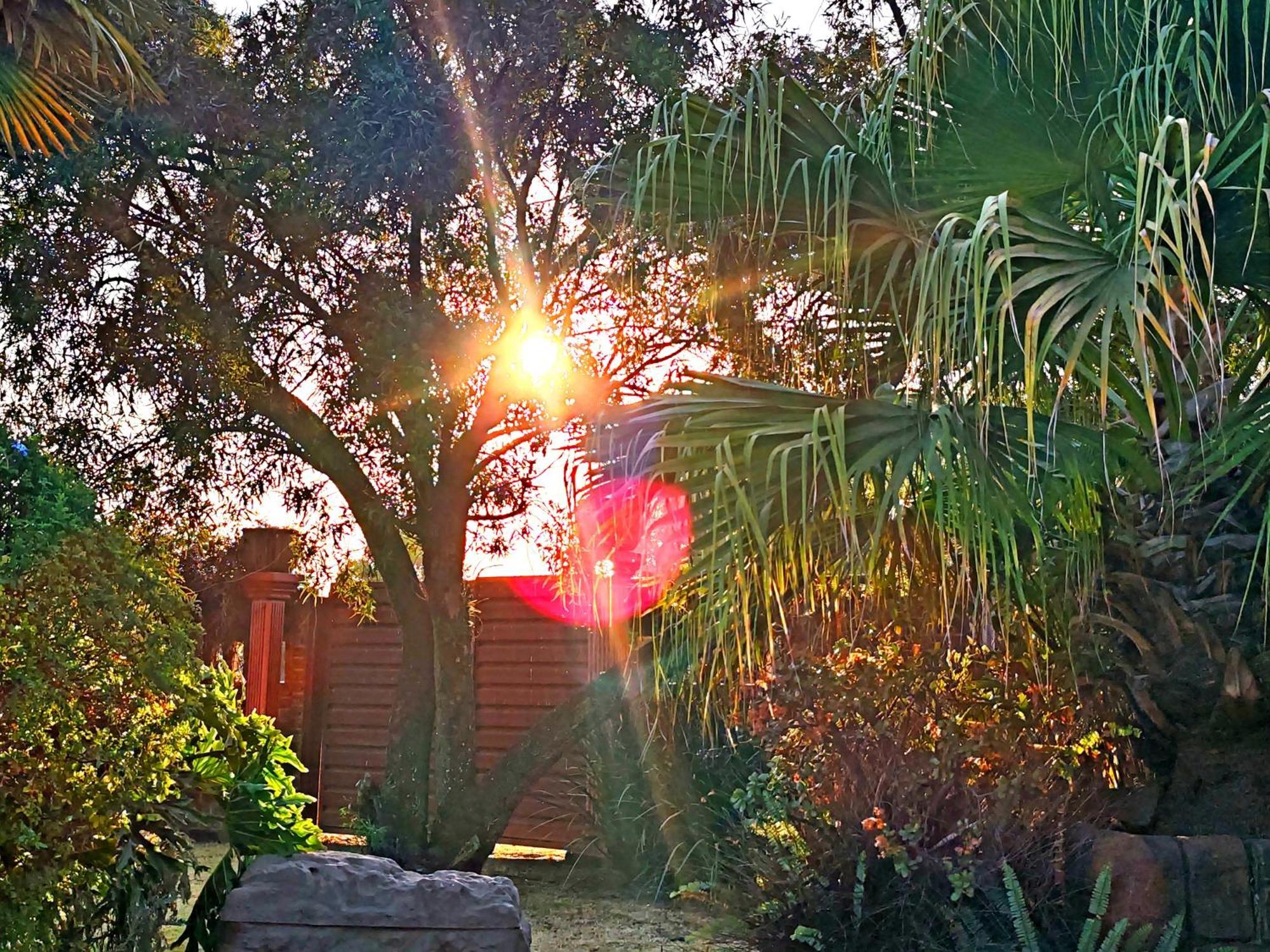 Hotel Sun And Stars Benoni Exteriér fotografie